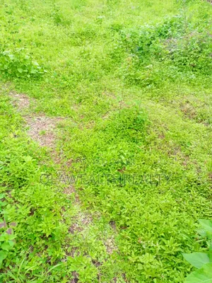 800sqm Residential Land at Kolapo Ishola Gra, Akobo