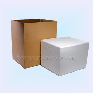Breakable Fitted Styrofoam Cooler for Relocations and Shipping