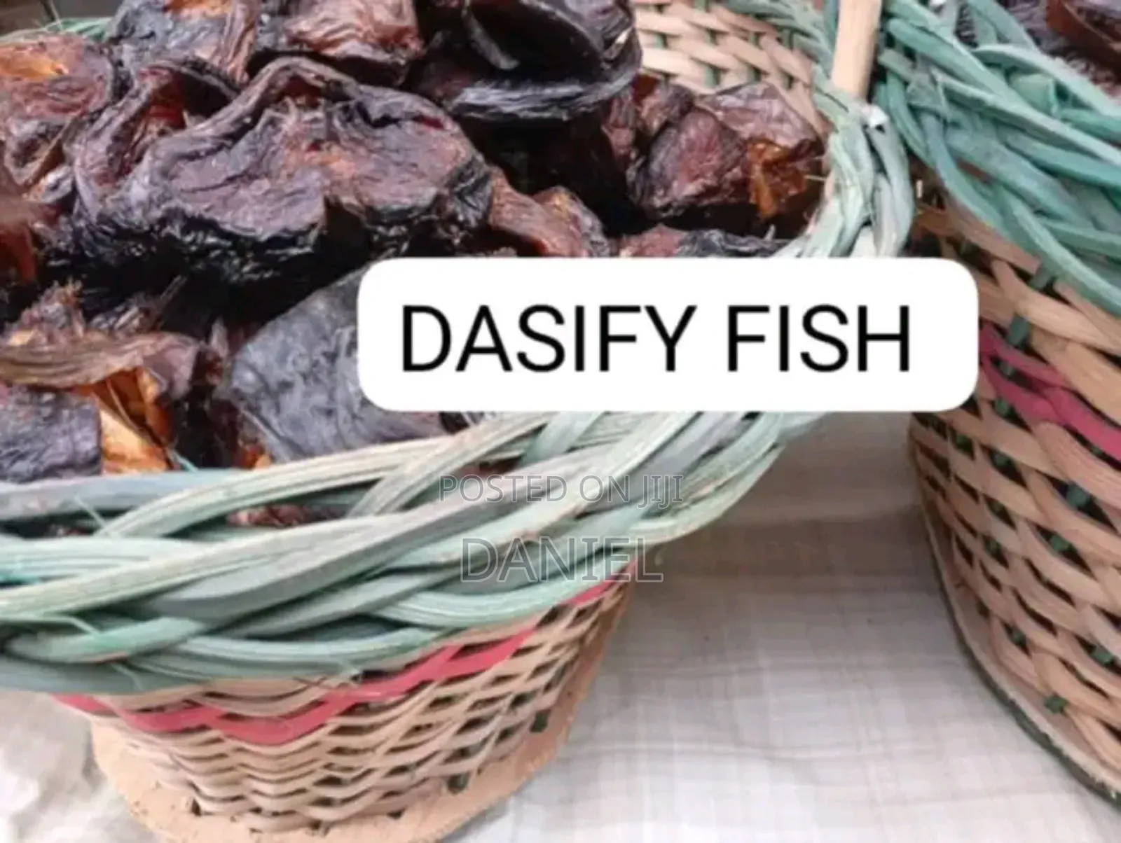 Panla and Cat Fish
