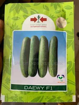 Daewy Cucumber Seeds