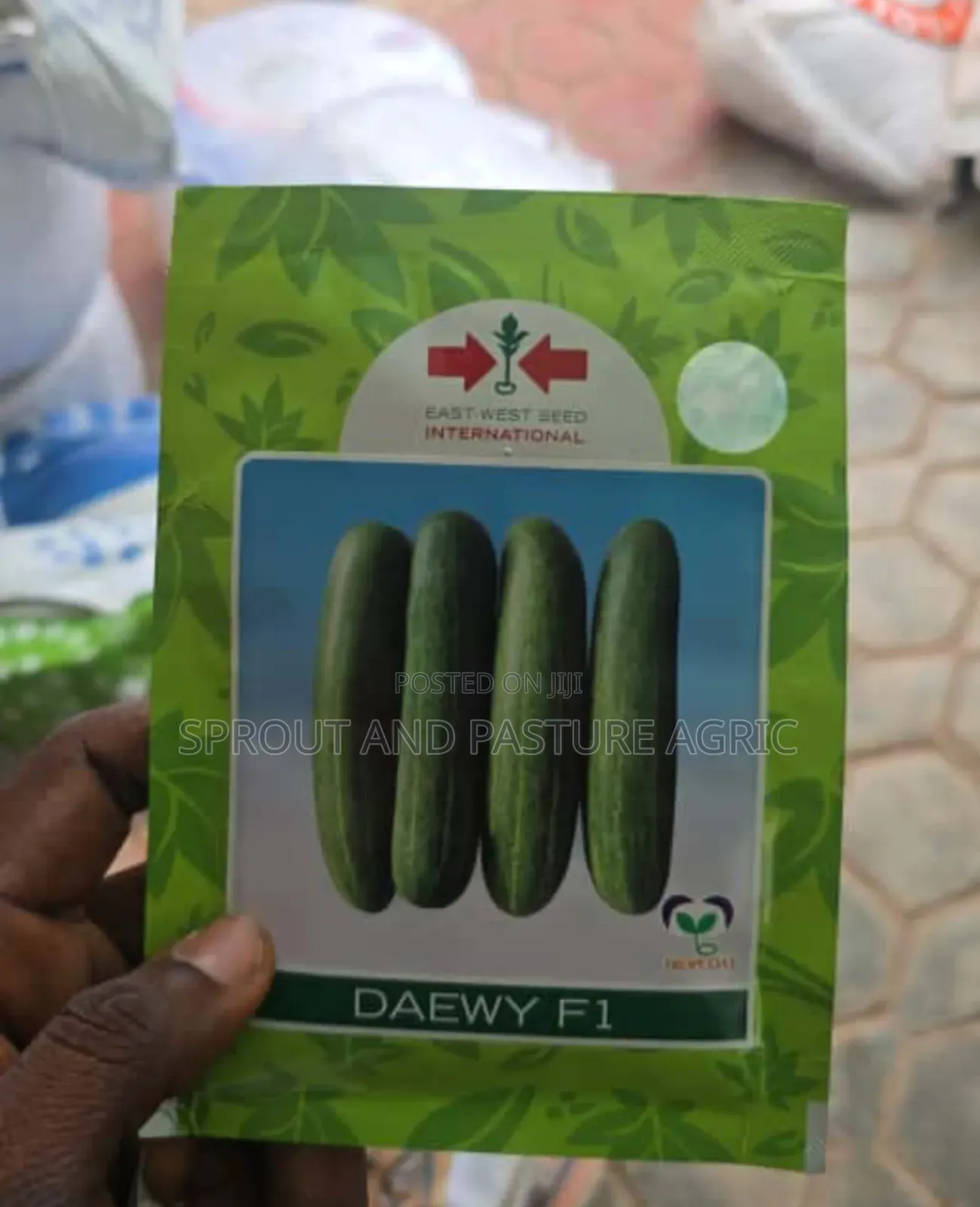 Daewy Cucumber Seeds 10gr
