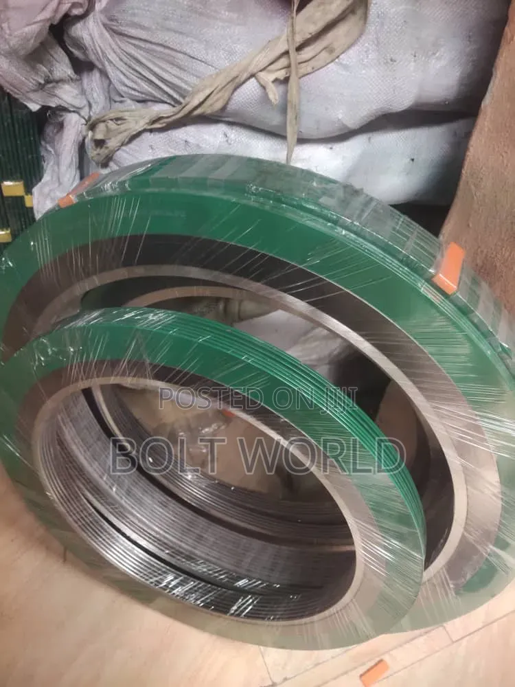 6" Spiral Wound Gasket