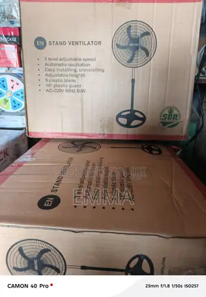 Standing Fan