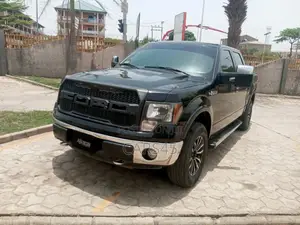 Ford F-150 2010 Black