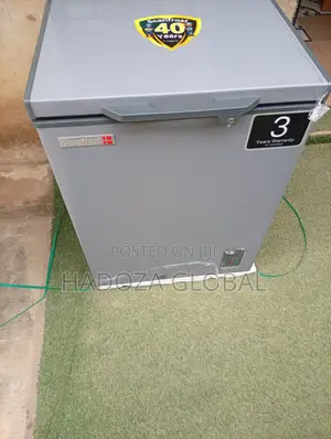 Pocket-Friendly Scanfrost Freezer for Shops and Hotels