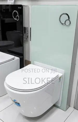 Concealed Wc With Surface Tank