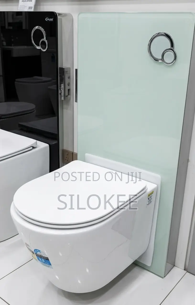 Concealed Wc With Surface Tank