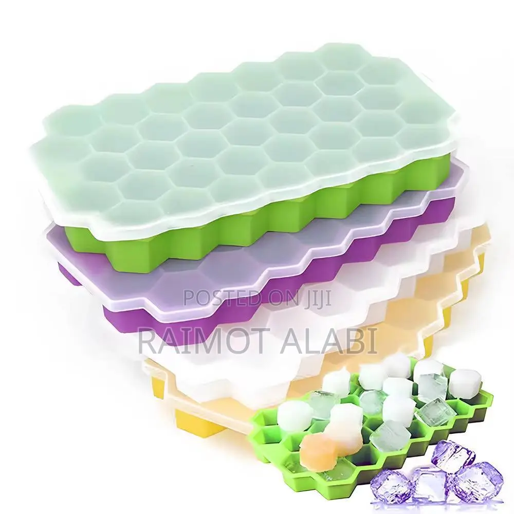 37grid Ice Mould