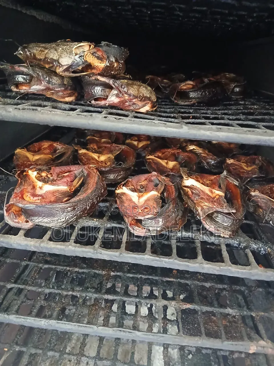 Premium Oven Smoked Catfish (Export Standard)