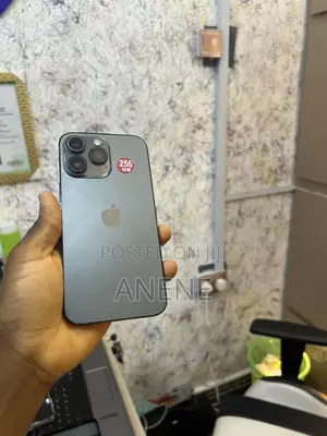 Apple iPhone 14 Pro Max 256 GB Gray