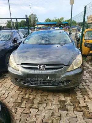 Peugeot 307 2007 Gray