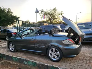 Peugeot 307 2007 Gray