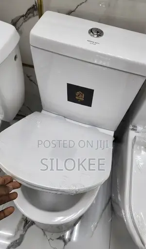 Original Stepoint Ideal Water Closet (Complete)