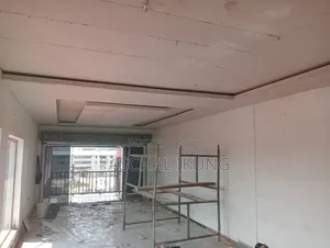 Ceiling Installations
