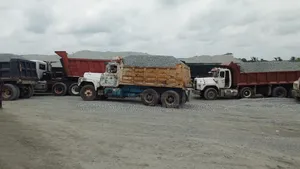 Oriental Mining Beautiful Granite and Stone