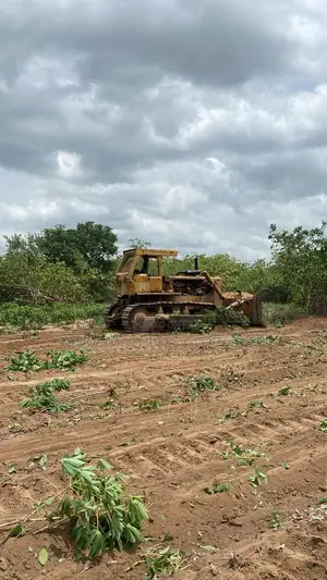 D8 Bulldozer for Agric Land Clearing Service