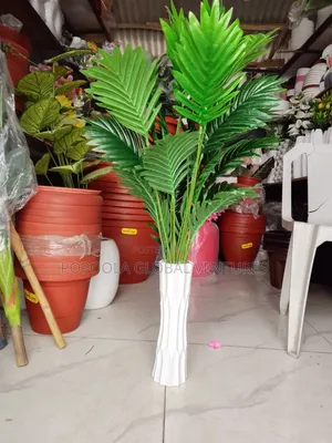 Palm Tree Plant With Flower Pot