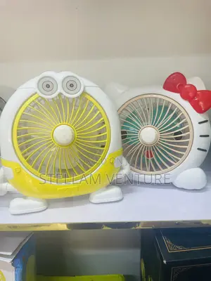 Rechargeable Fan