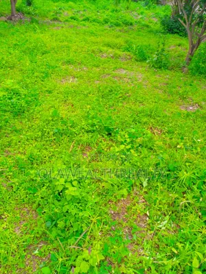 647sqm Residential Land at Otunba Adebayo Alao-Akala Gra, Wofun