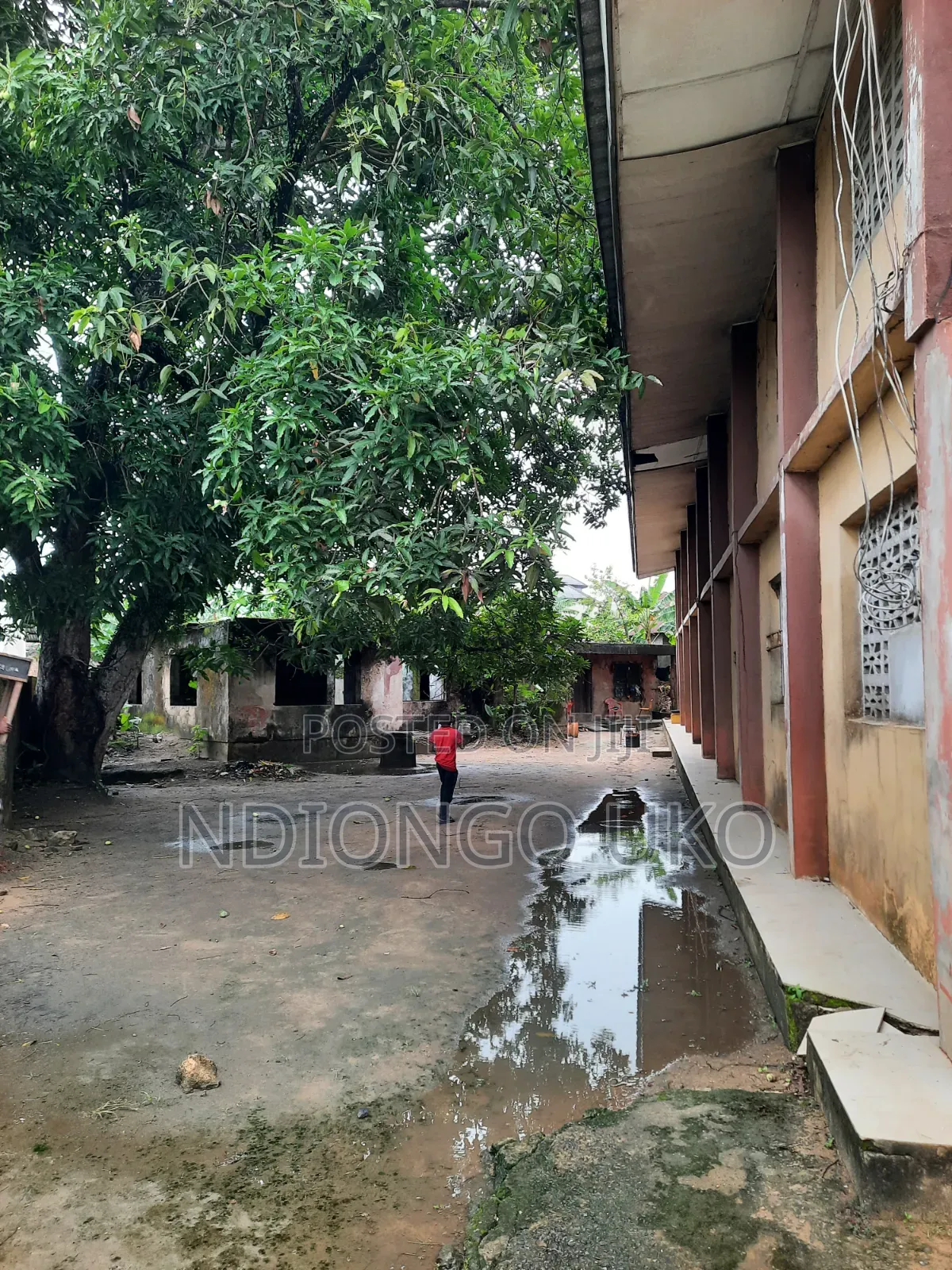 Hall or Warehouse