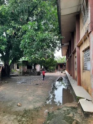 Hall or Warehouse