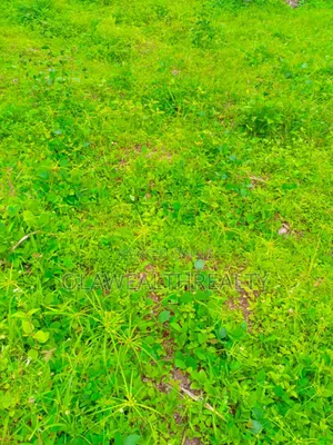 1278sqm Residential Land at Park Manor Estate, Samonda