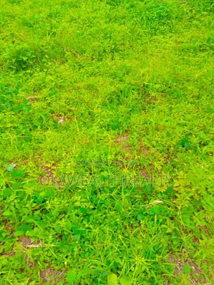 400sqm Residential Land at Carlton Gate Estate, Akobo