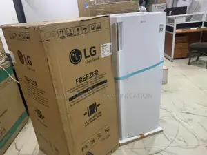 Lg Gn-304sqbr – Smart Cooling, Stylish Design