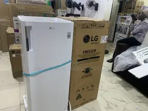 Lg Gn-304sqbr – Smart Cooling, Stylish Design
