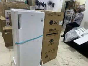 Lg Gn-304sqbr Refrigerator – Built for Modern Living