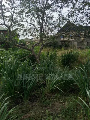 One and Half Plot of for Sale in Alagbole
