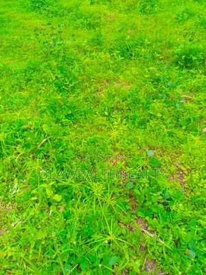 601sqm Residential Land at Carlton Gate Estate, Akobo
