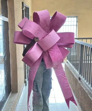 Lagos Cars Fabric or Ribbon Car Bow Auto