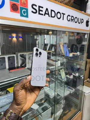 Apple iPhone 15 Pro Max 256 GB Gray