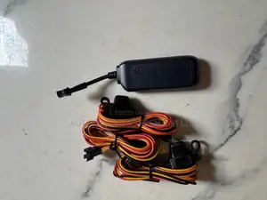Seeworld GPS Tracker R12l 4g (Whatsagps)