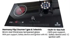 Electric and Gas Two Burner With Timer