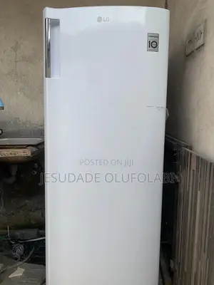 Lg Upright 6 Step Standing Freezer