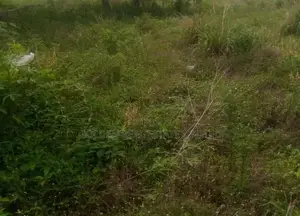 Two Plots Of Land For Sale At Ado Ekiti,