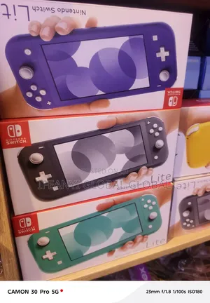 Nintendo Lite