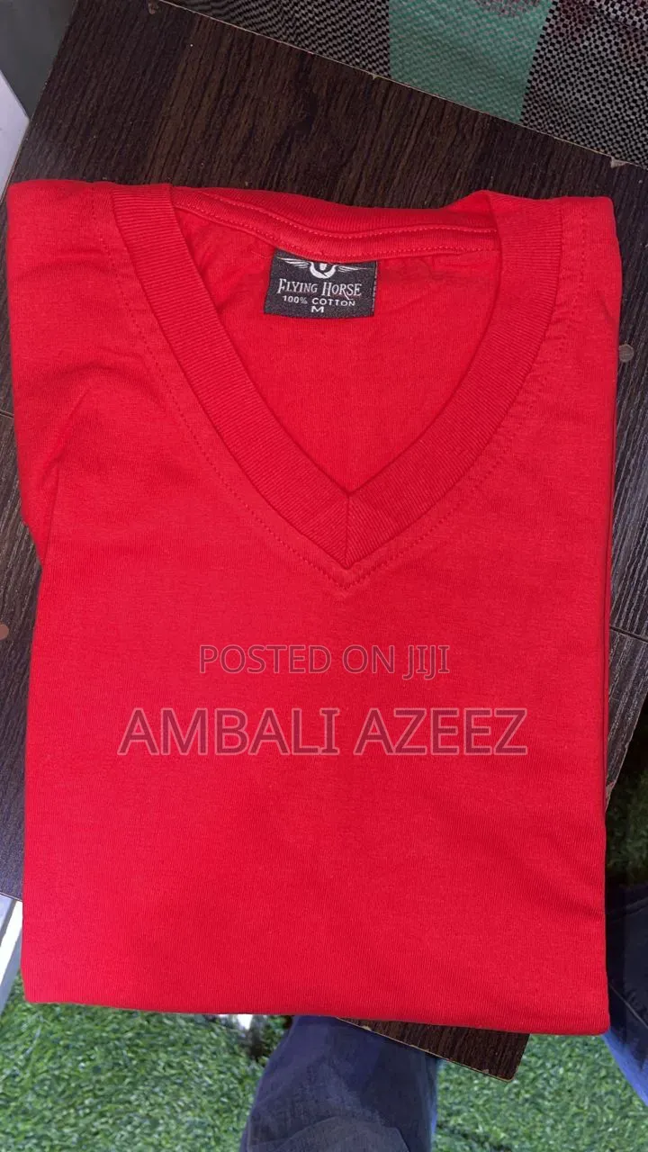 Luxurious Plain v Neck