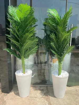 Beautiful Potted Flowers