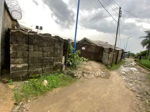 Income-ready 75x100 Land With Fish Ponds Borehole Dm For Vid/Pics