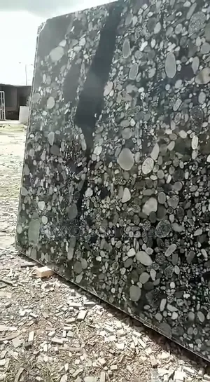Black Stone (Terrazzo Face) Granite Slabs