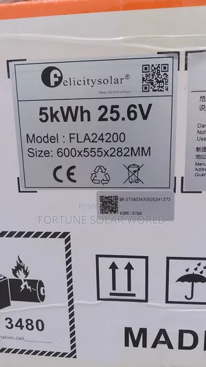 5kwh 24v Felicity Solar Lithium Ion Battery
