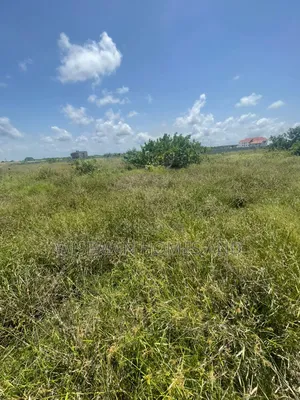 Sharp Dry Land