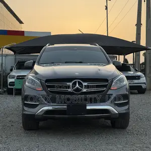 Mercedes-Benz GLE-Class GLE 350d 4MATIC 2017 Gray