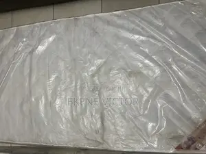 Foreign Student Foam