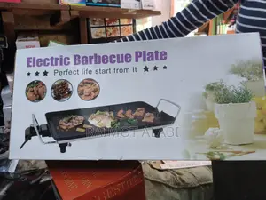Electric Bbq Grill