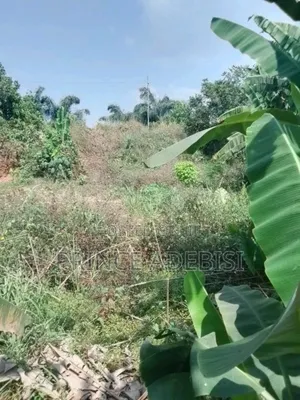 A Plot of Land 60 by 120 Together With a Foundation