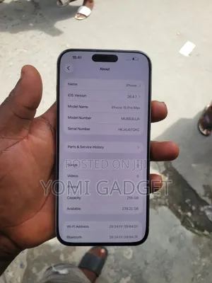 Apple iPhone 15 Pro Max 256 GB Gray